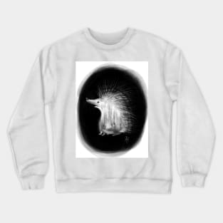 Amazed Hedgehog Crewneck Sweatshirt